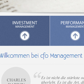 cfo Management